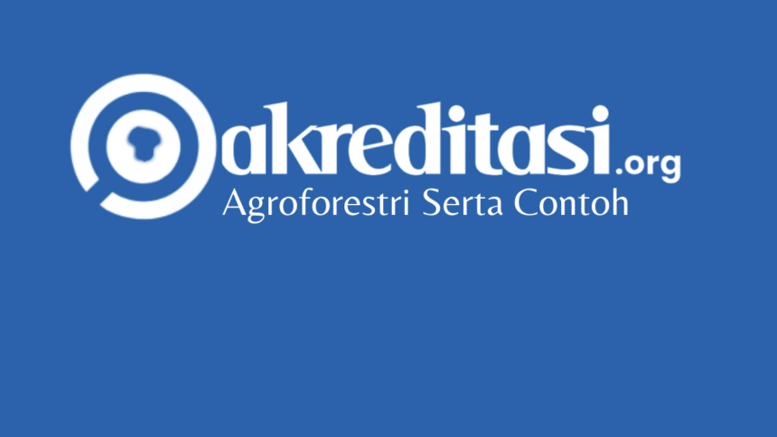 Agroforestri